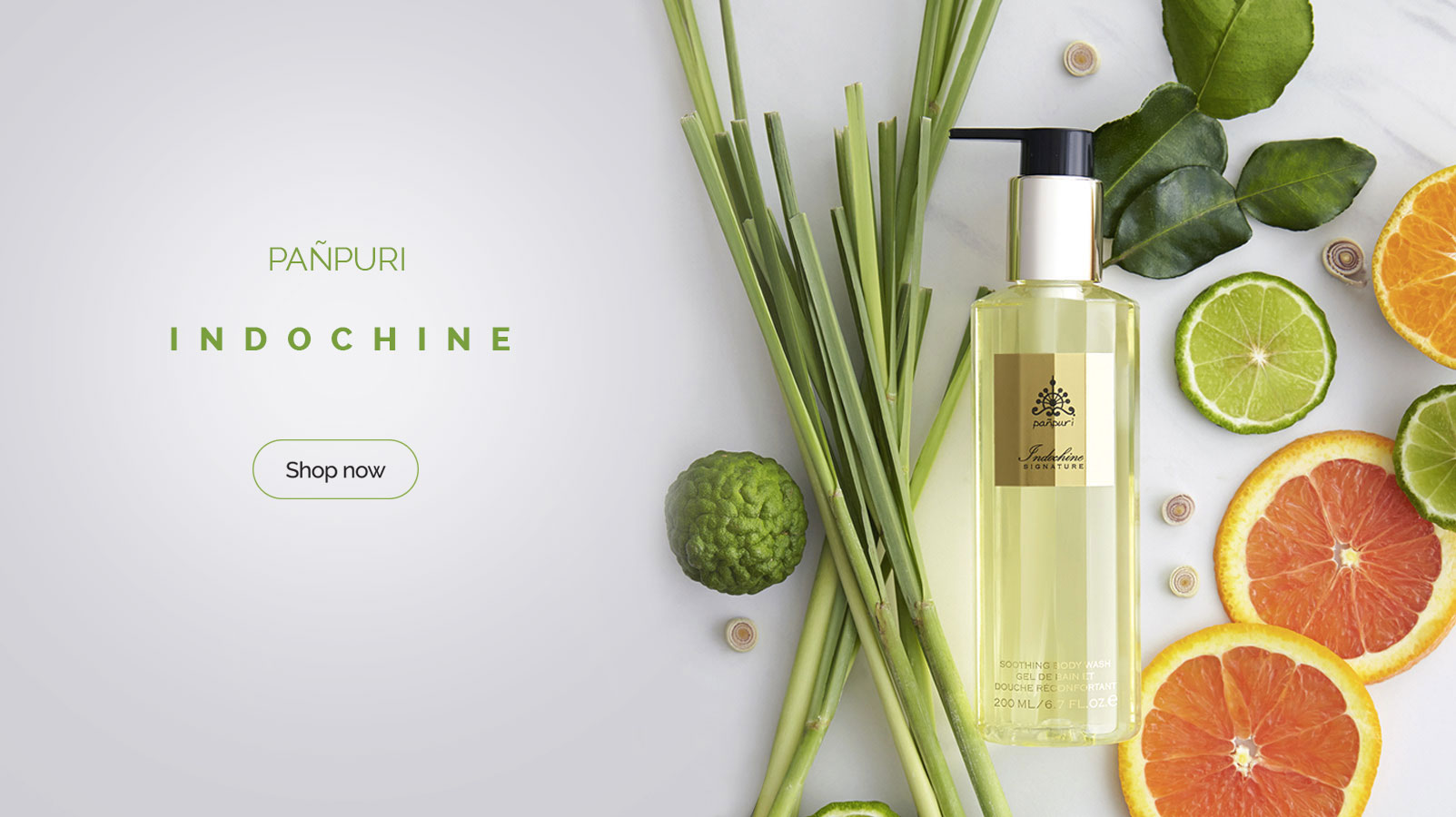 Indochine collection